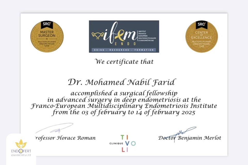 زمالة-تدريبية-متقدمة-في-فرنسا