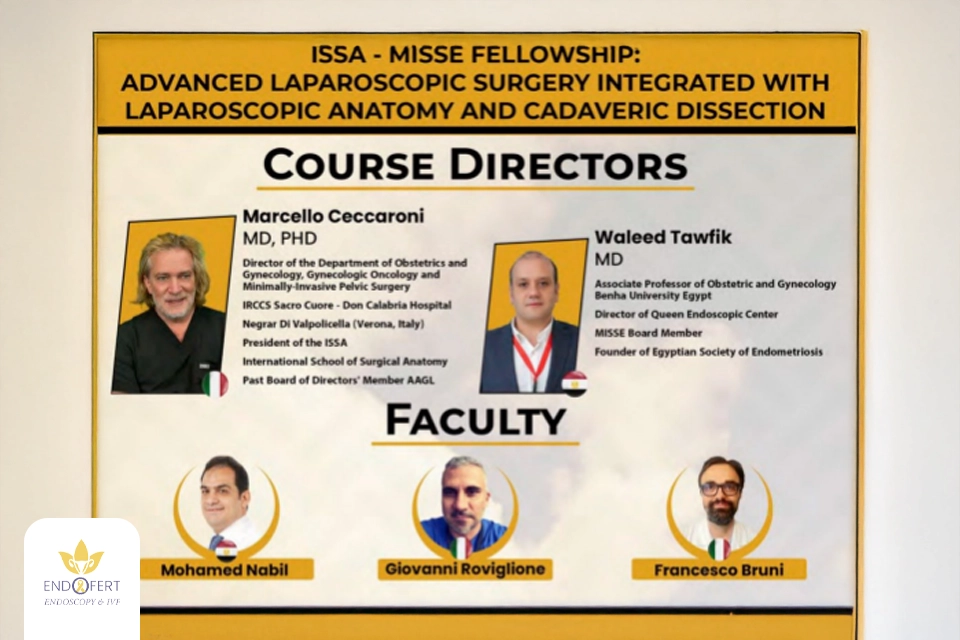 في-الزمالة-الدولية-للجراحات-المتقدمة-بالمنظار-في-إيطاليا